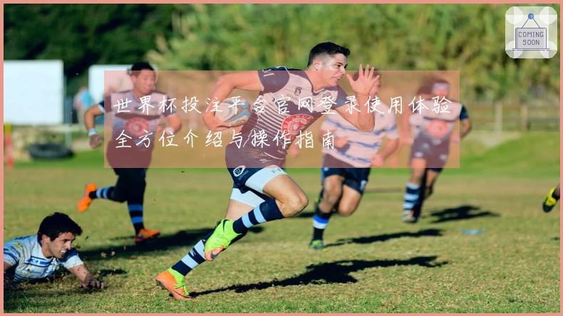 世界杯投注平台官网登录使用体验全方位介绍与操作指南
