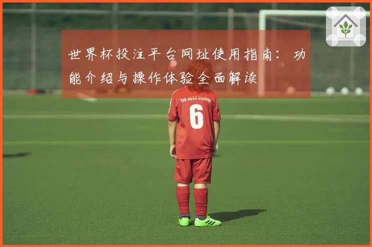 世界杯投注平台网址使用指南：功能介绍与操作体验全面解读