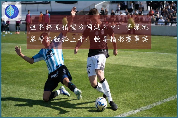 世界杯竞猜官方网站入口：资深玩家带你轻松上手，畅享精彩赛事实况