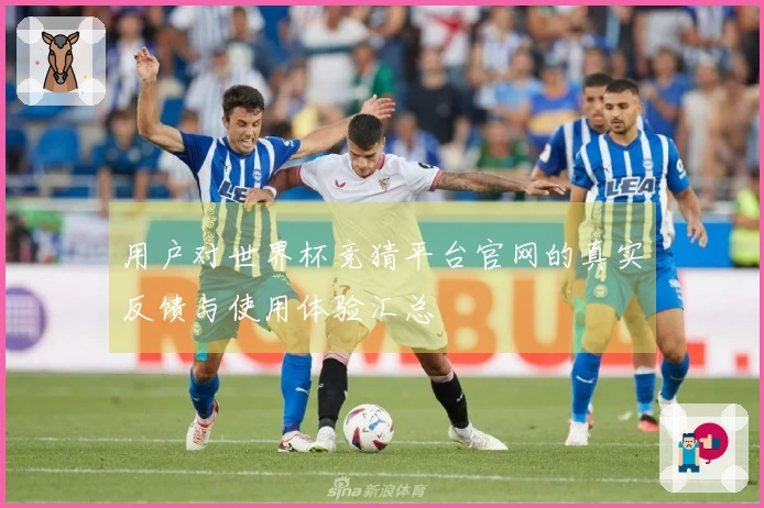 用户对世界杯竞猜平台官网的真实反馈与使用体验汇总